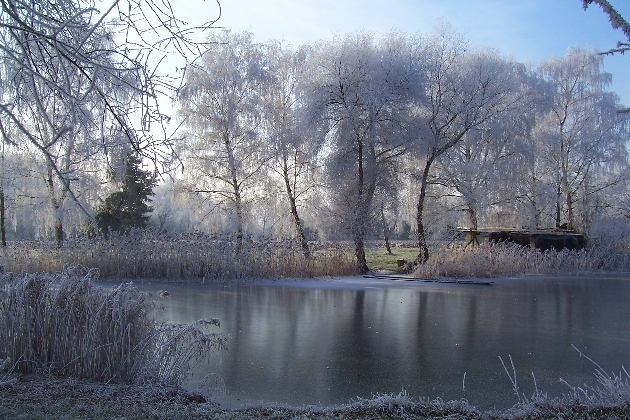 Bild 005.jpg - Winter im Naturschutzgebiet Taubergießen beim Europa-Park Rust